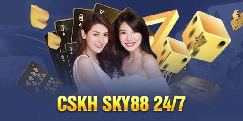 Đội ngũ hỗ trợ khách hàng 24/7